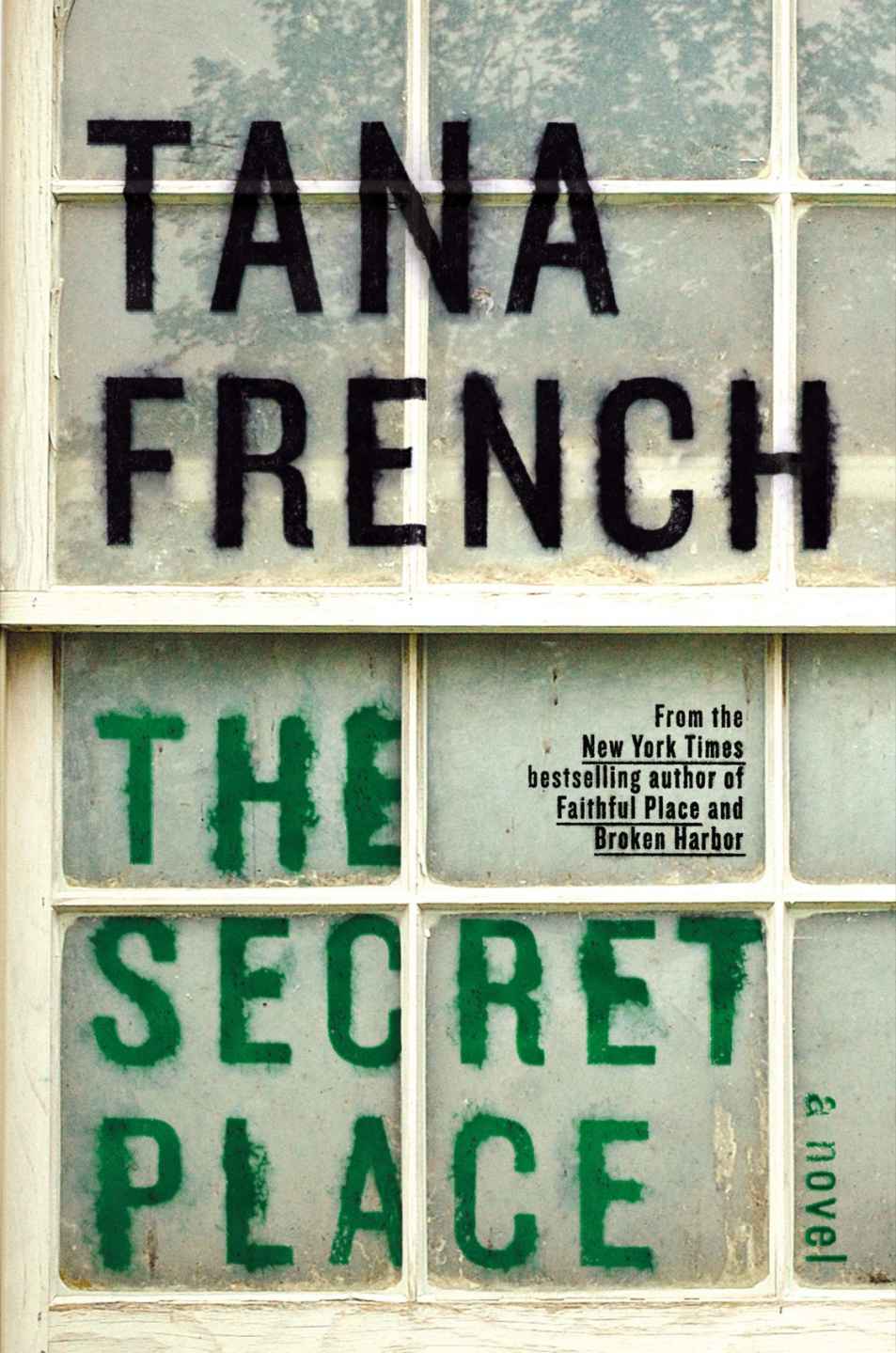 The Secret Place (Dublin Murder Squad, Book 5)