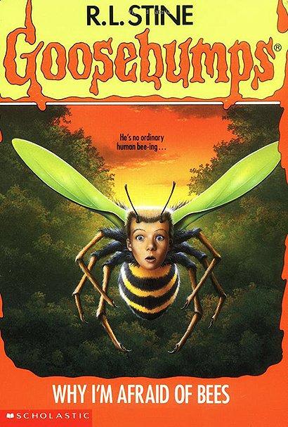 Why I'm Afraid of Bees
