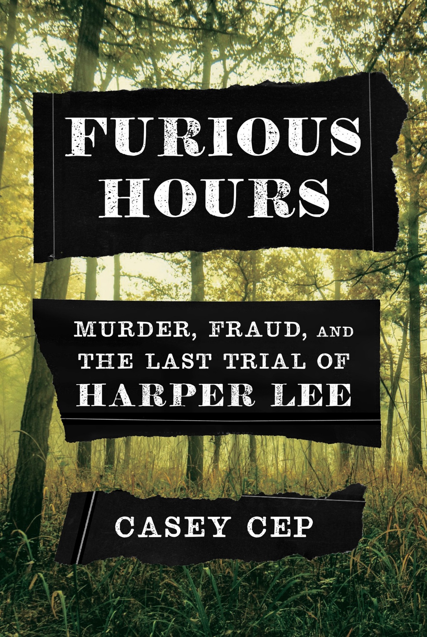 Furious Hours