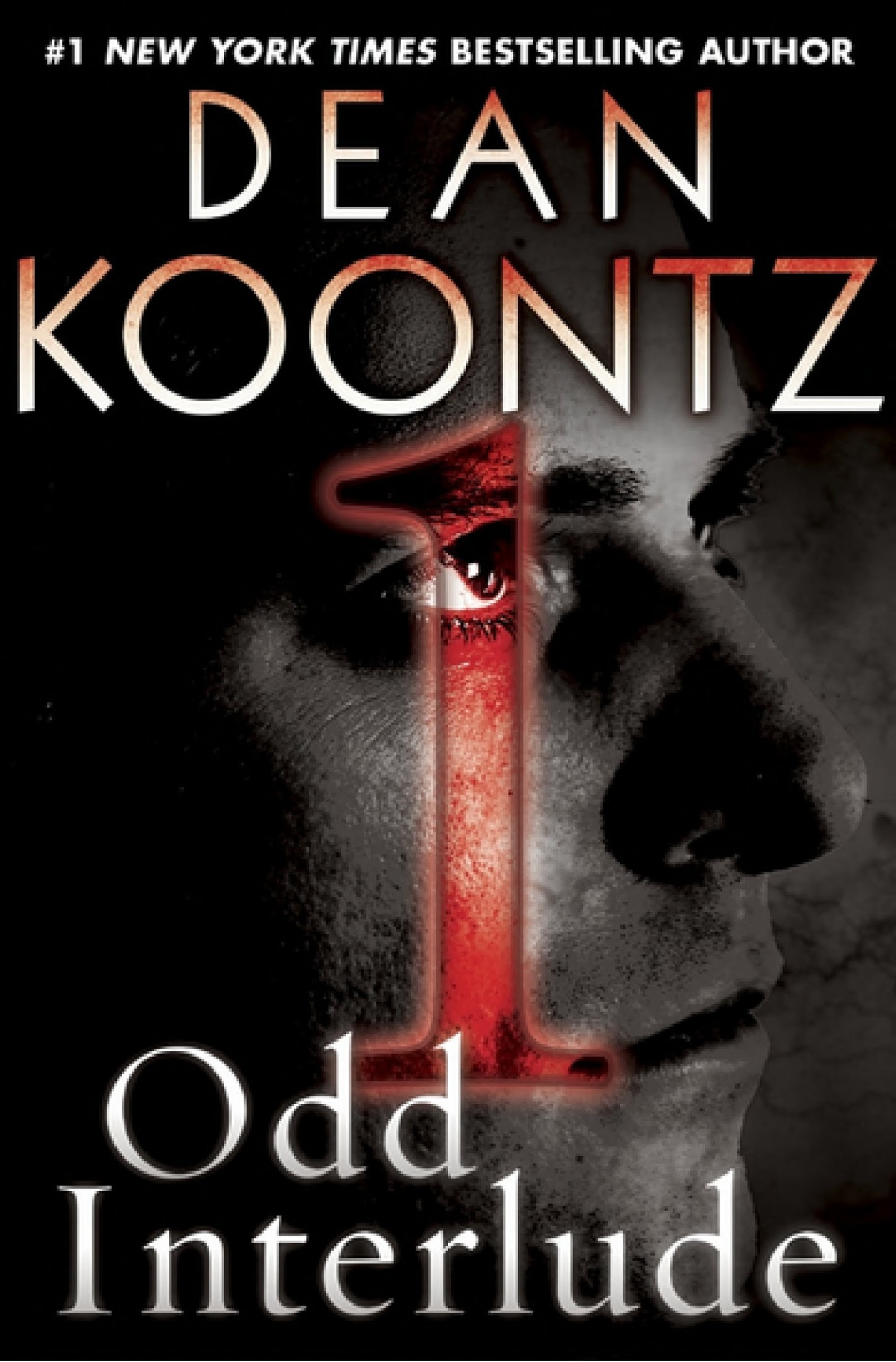 Odd Interlude: A Special Odd Thomas Adventure