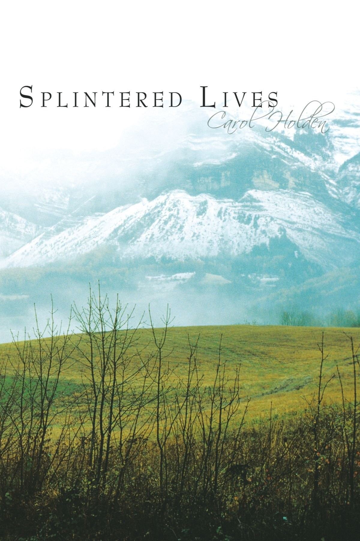 Splintered Lives